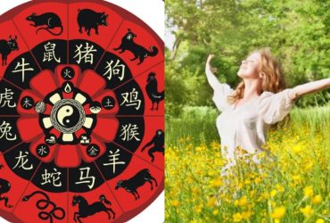 Шесть китайских знаков Зодиака ждет удачный поворот судьбы уже очень скоро