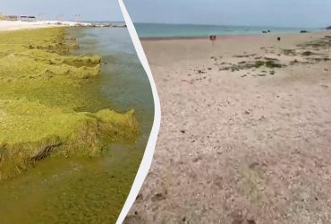 Брудне море та безлюдні пляжі: який вигляд має окупована Кирилівка на Запоріжжі (відео)