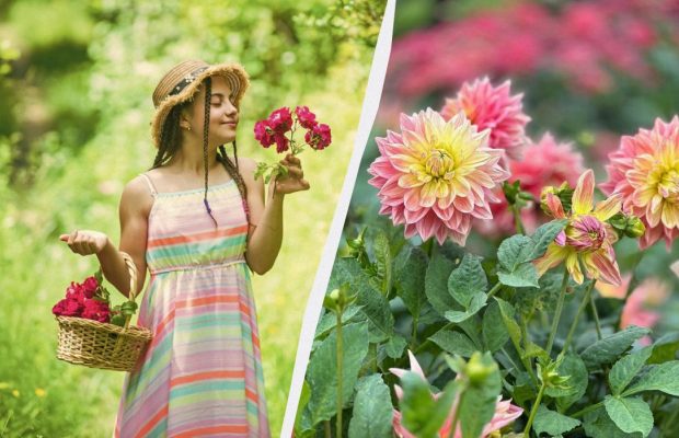 Три важливі свята 14 червня 2025: що відзначаємо сьогодні і чого не можна робити