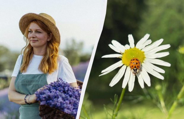 В українців настало велике свято 24 червня 2025: що можна і не можна робити