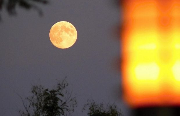 Принесут деньги и любовь: удачные дни ноября 2025 по лунному календарю