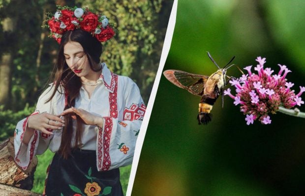 Что нужно сделать для крепкого здоровья: приметы в праздник 26 июня 2025