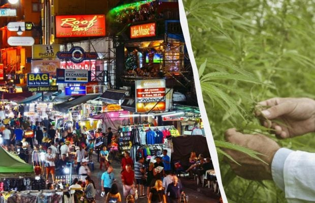 Недовго тривало свято: Таїланд забороняє продаж канабісу туристам без рецепта