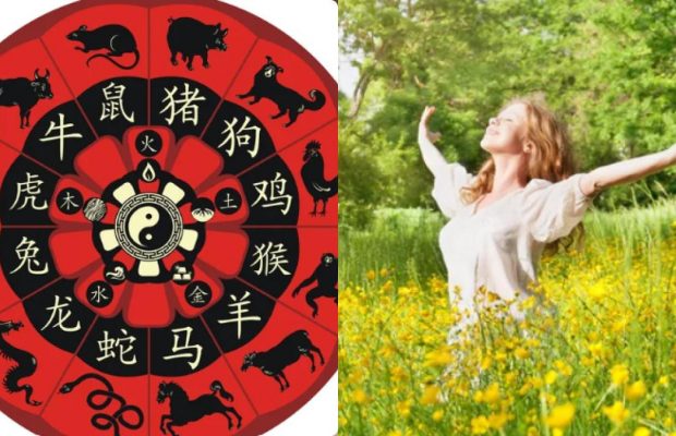 На шість китайських знаків Зодіаку чекає вдалий поворот долі вже дуже скоро