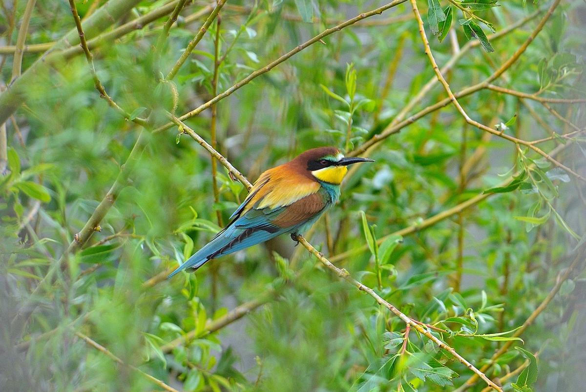 какой сегодня праздник какой сегодня праздник