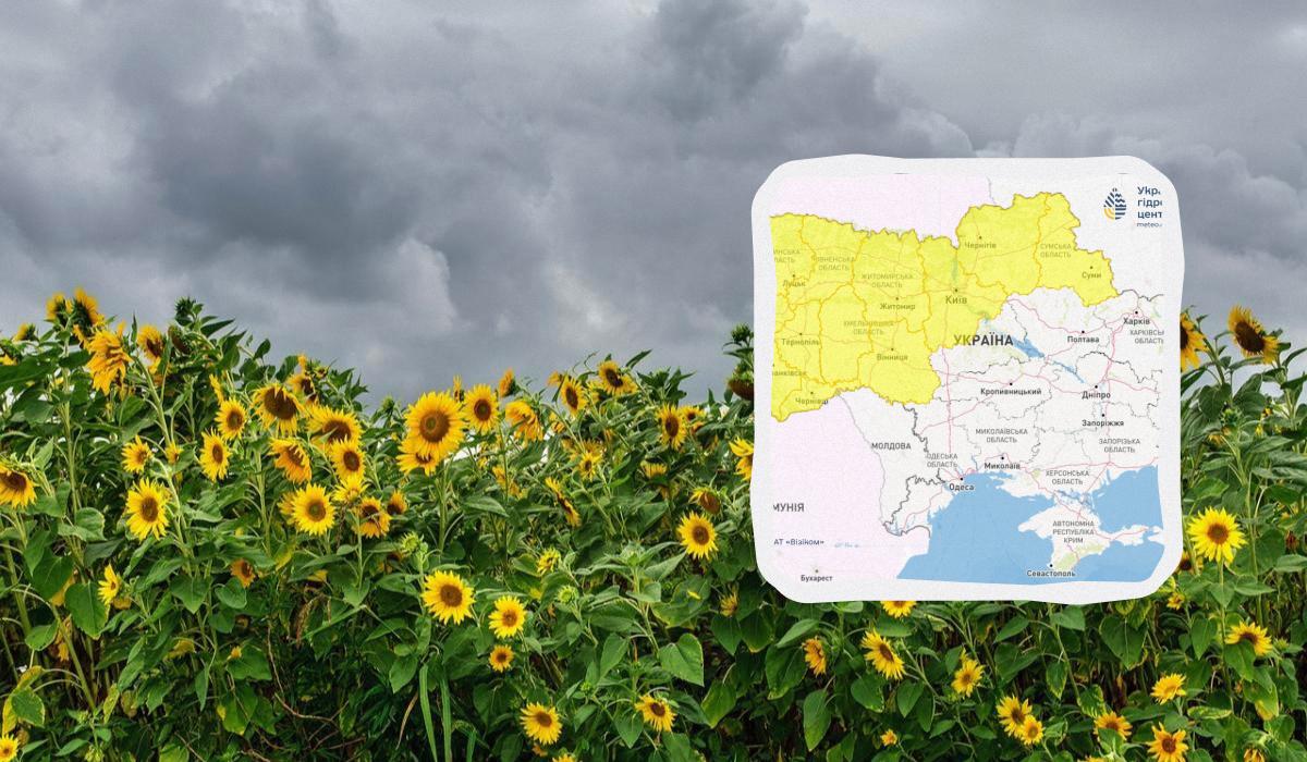 В Украине сегодня будут греметь грозы / коллаж УНИАН, фото Pixabay, Укргидрометцентр В Украине сегодня будут греметь грозы / коллаж УНИАН, фото Pixabay, Укргидрометцентр