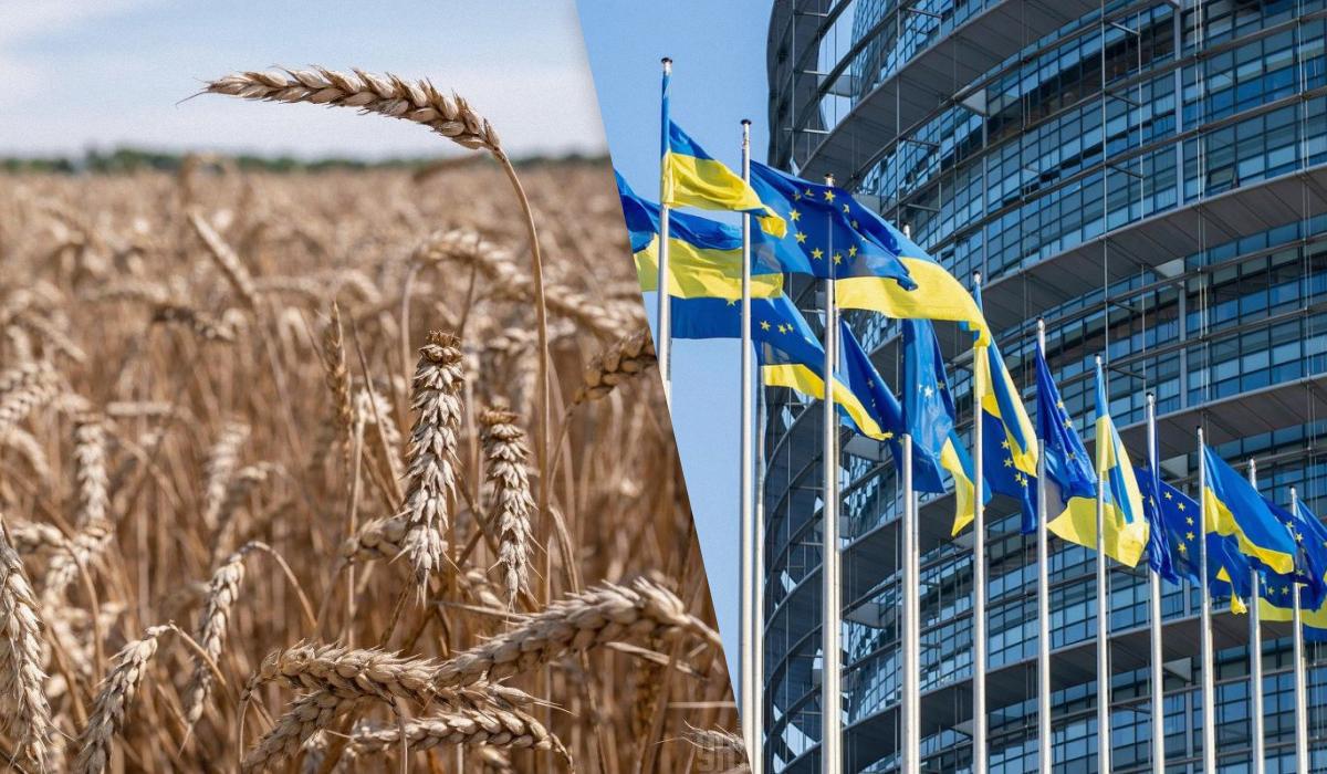 Оновлена торговельна угода охоплює 40 товарів / Колаж УНІАН, фото - УНІАН, Pixabay Оновлена торговельна угода охоплює 40 товарів / Колаж УНІАН, фото - УНІАН, Pixabay