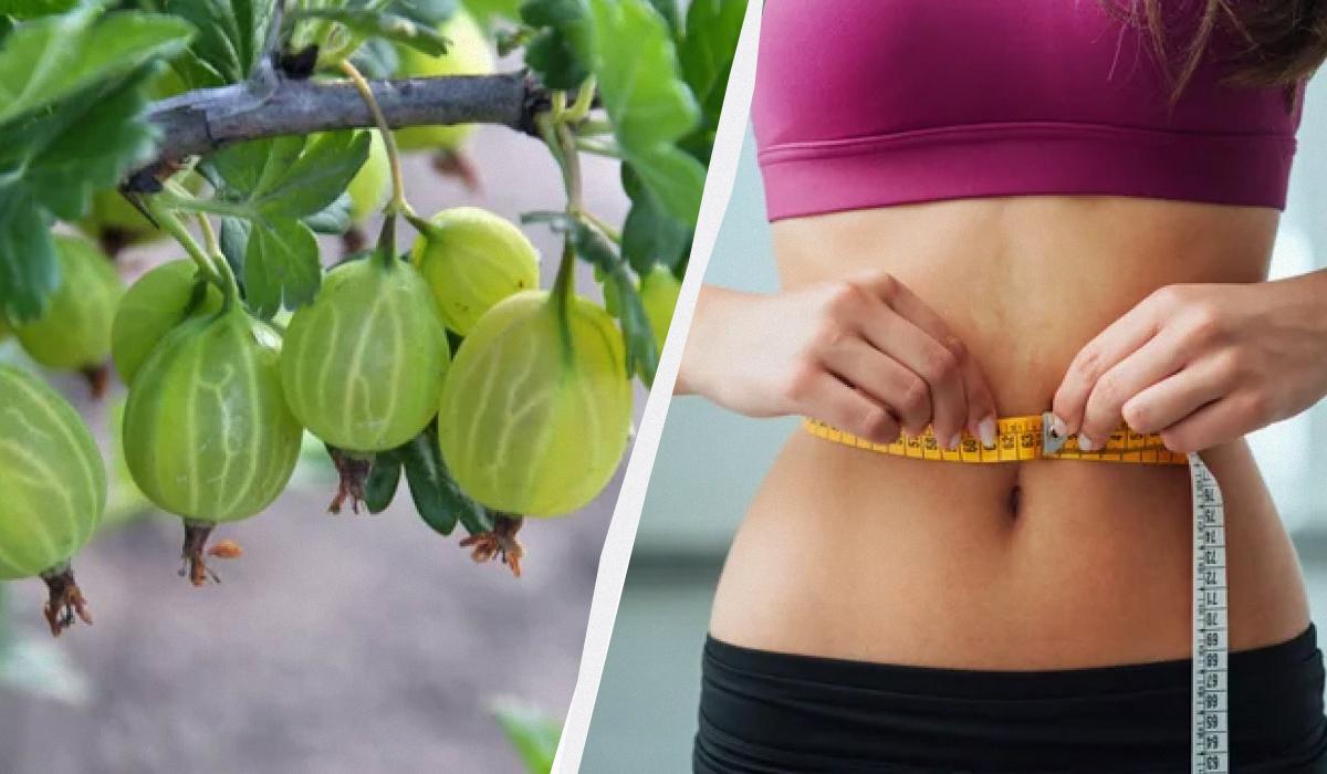 Чи можна їсти багато аґрусу - користь ягоди для здоров'я / колаж УНІАН, фото ua.depositphotos.com