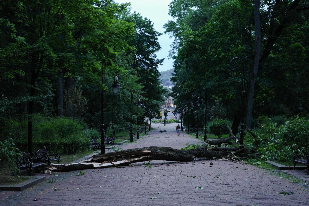 Ураган натворил беды во Львове / фото Андрей Садовый Ураган натворил беды во Львове / фото Андрей Садовый