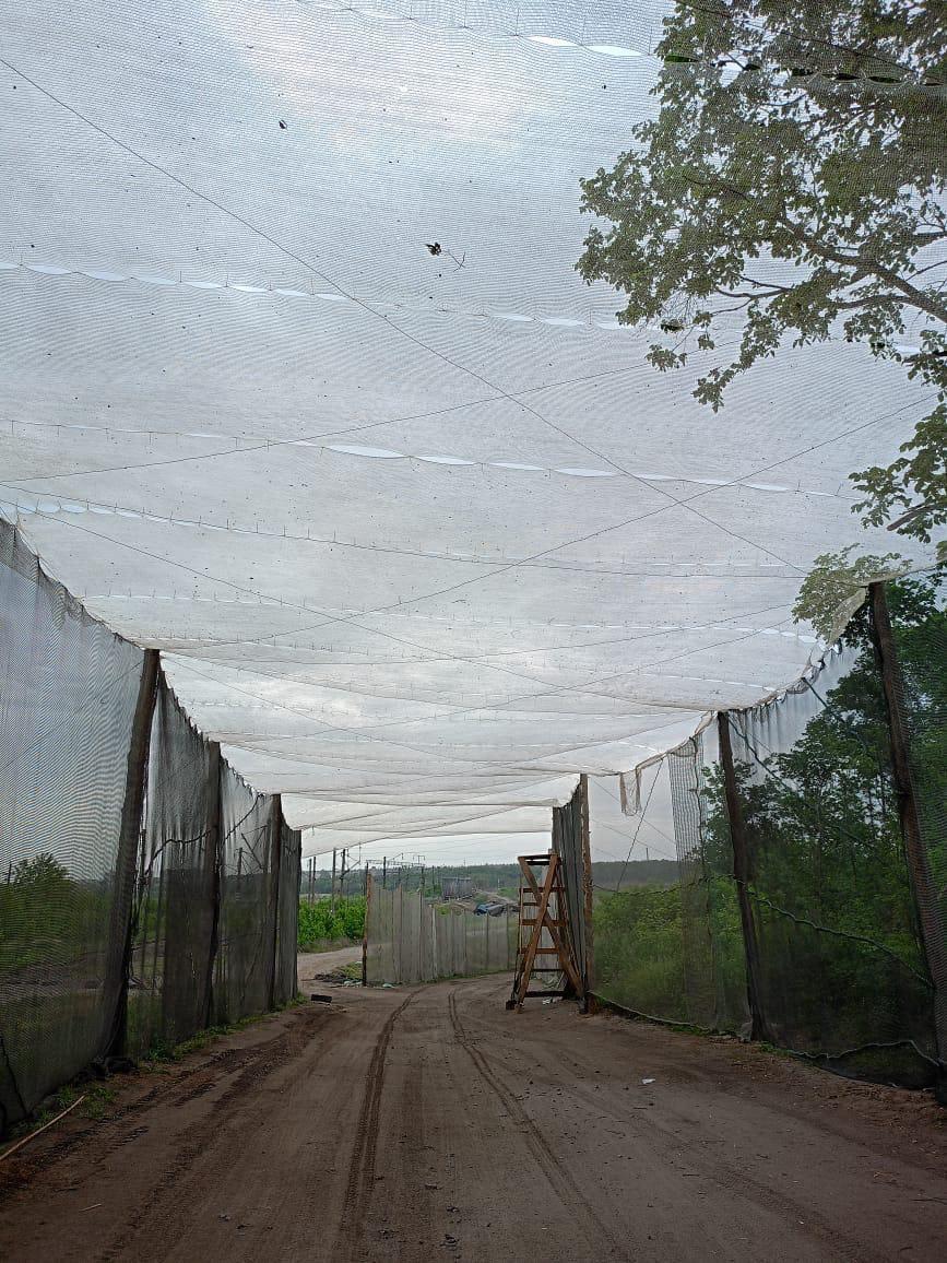 Объединенные благотворительной миссией: Kryla Karpaty by Edem присоединились к передаче антидроновой защиты 'Паутина'