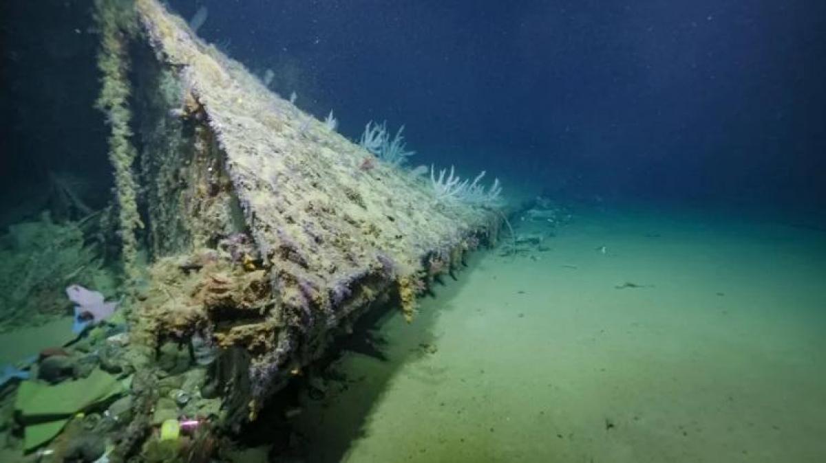 Уламки носової частини були виявлені безпілотним надводним судном / фото NOAA Уламки носової частини були виявлені безпілотним надводним судном / фото NOAA