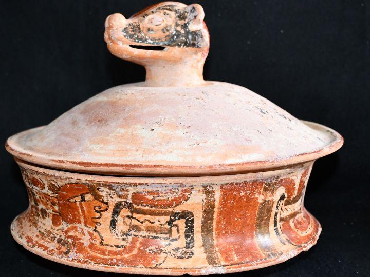 Caracol Archaeological Project, University of Houston Caracol Archaeological Project, University of Houston