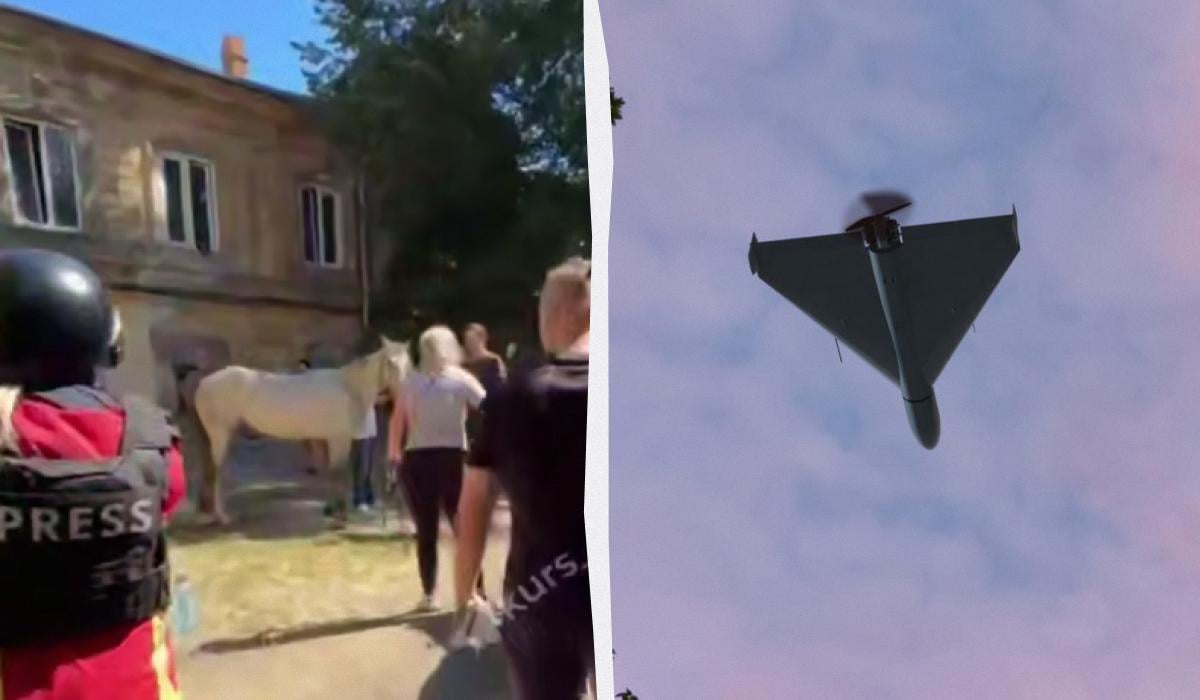 Постраждали також тварини / колаж УНІАН, кадр з відео Telegram/@kurs_odessa, фото ua.depositphotos.com Постраждали також тварини / колаж УНІАН, кадр з відео Telegram/@kurs_odessa, фото ua.depositphotos.com