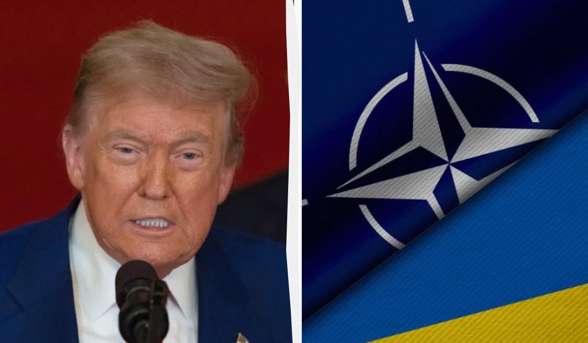 НАТО відреагувало на рішення США постачати зброю Україні / колаж УНІАН, фото Getty Images, ua.depositphotos.com НАТО відреагувало на рішення США постачати зброю Україні / колаж УНІАН, фото Getty Images, ua.depositphotos.com