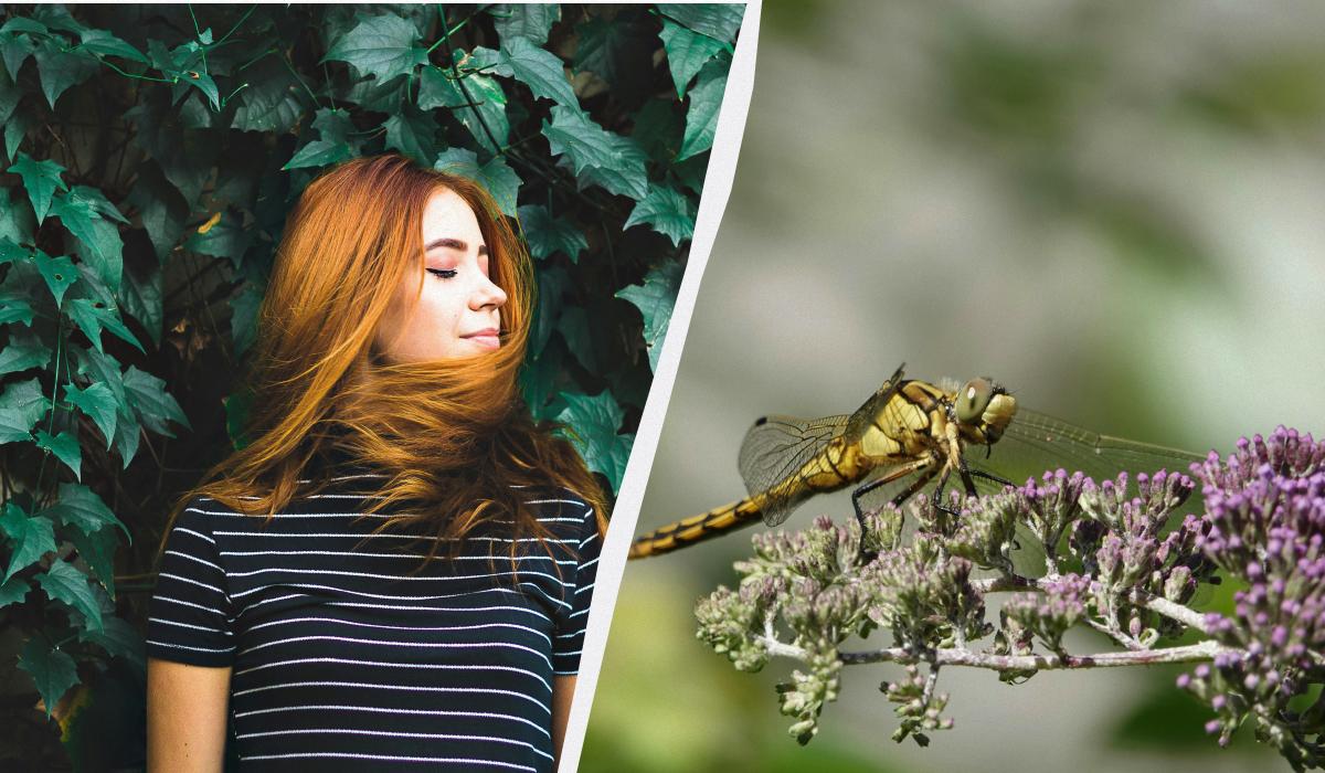 Що сьогодні за свято / колаж УНІАН, фото pexels Що сьогодні за свято / колаж УНІАН, фото pexels