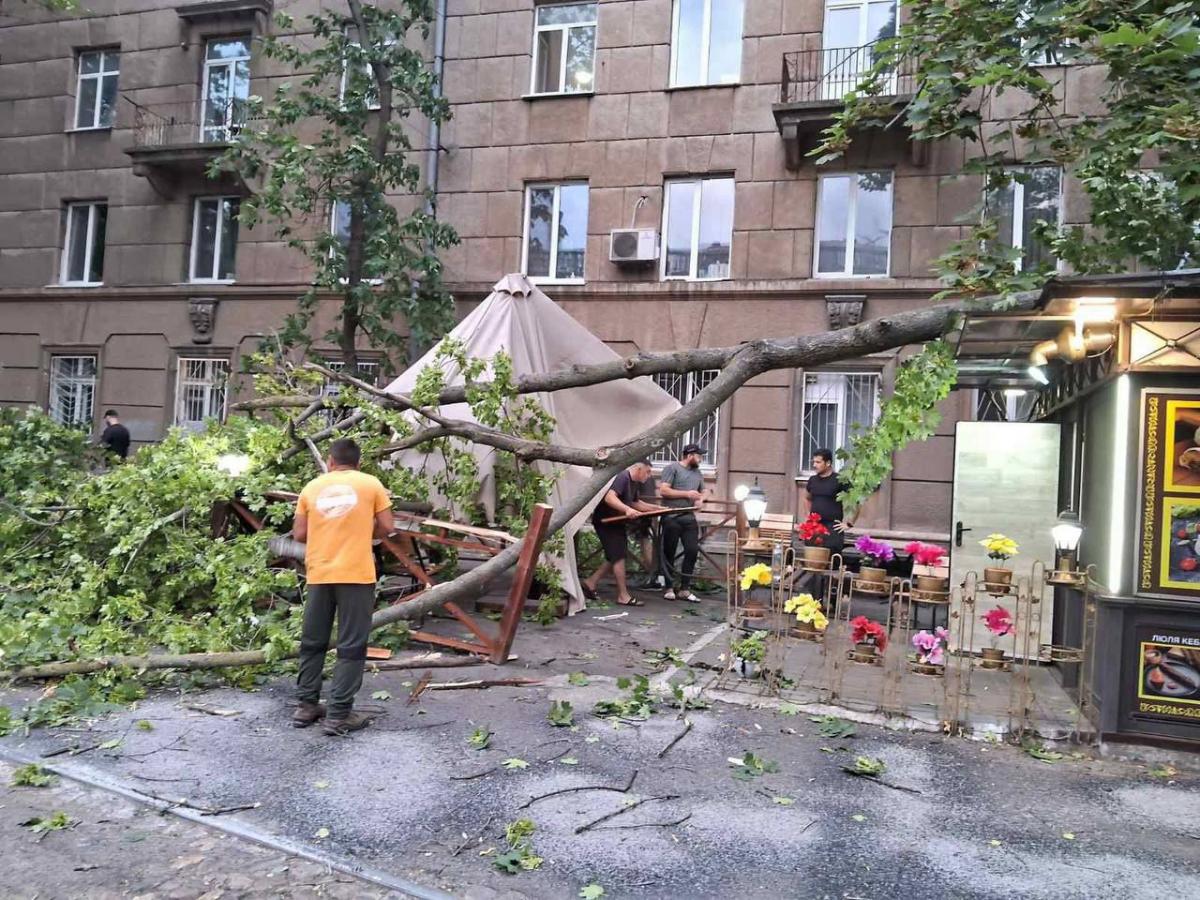 Штормовий вітер повалив дерева в Одесі / ЖКС Одеси Штормовий вітер повалив дерева в Одесі / ЖКС Одеси