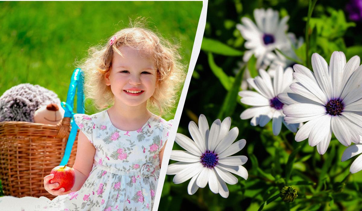 яке сьогодні свято яке сьогодні свято