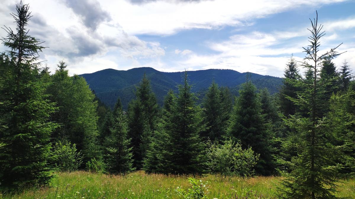 Та сама Поляна закоханих / фото Марина Григоренко