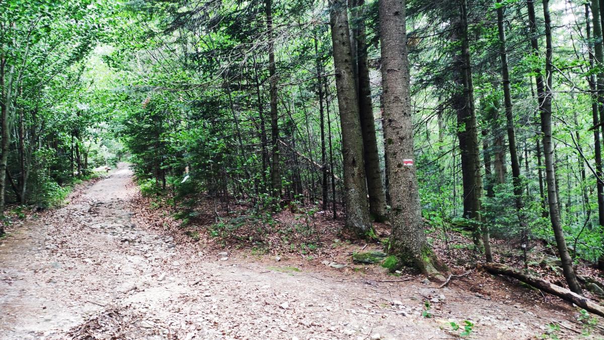В Татарові погано розмарковані туристичні маршрути / фото Марина Григоренко