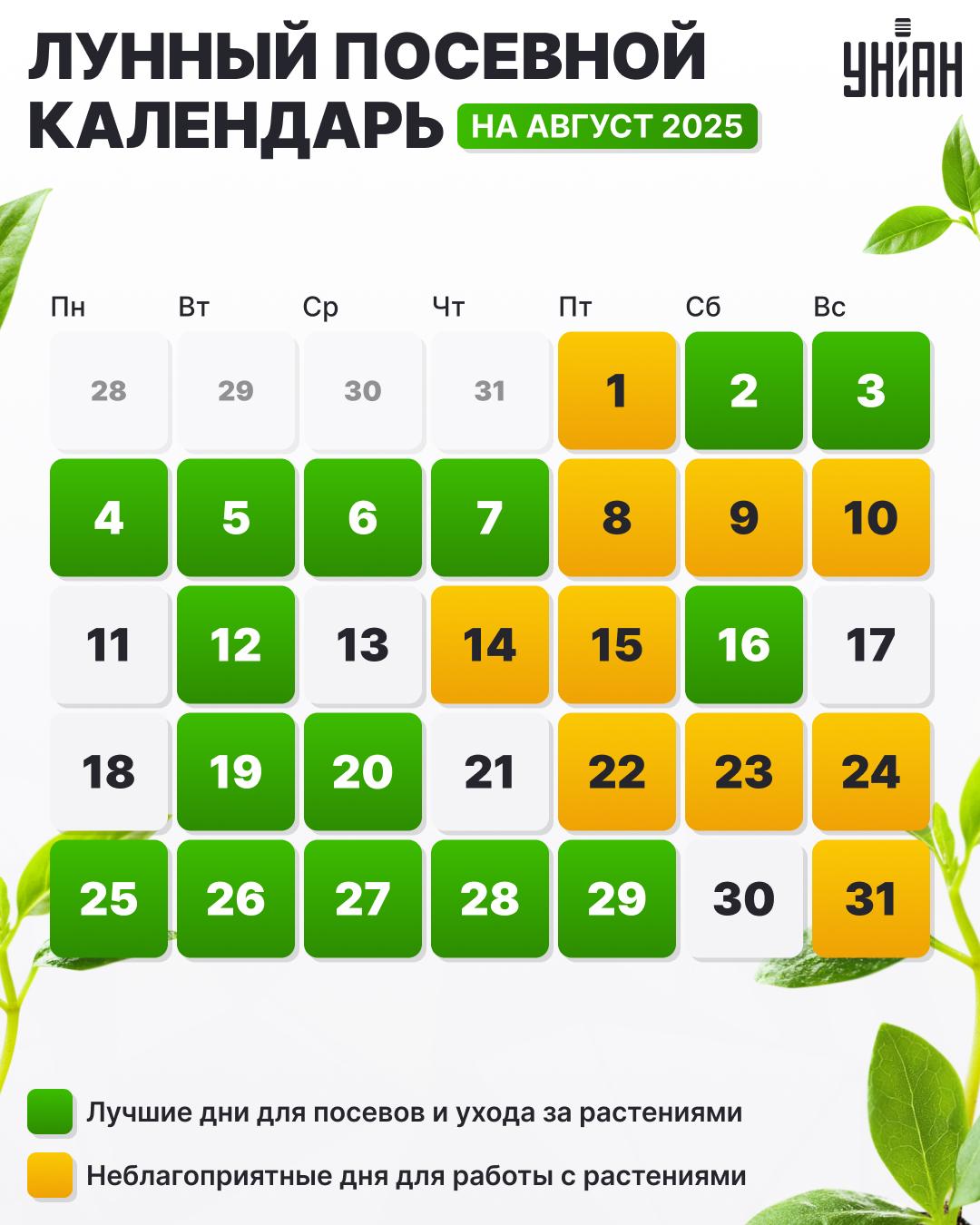 Какие посадочные дни в августе / иллюстрация УНИАН Какие посадочные дни в августе / иллюстрация УНИАН