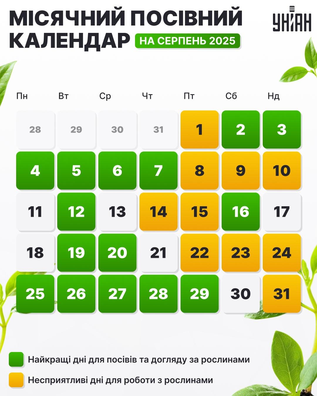 місячний календар городника на серпень місячний календар городника на серпень