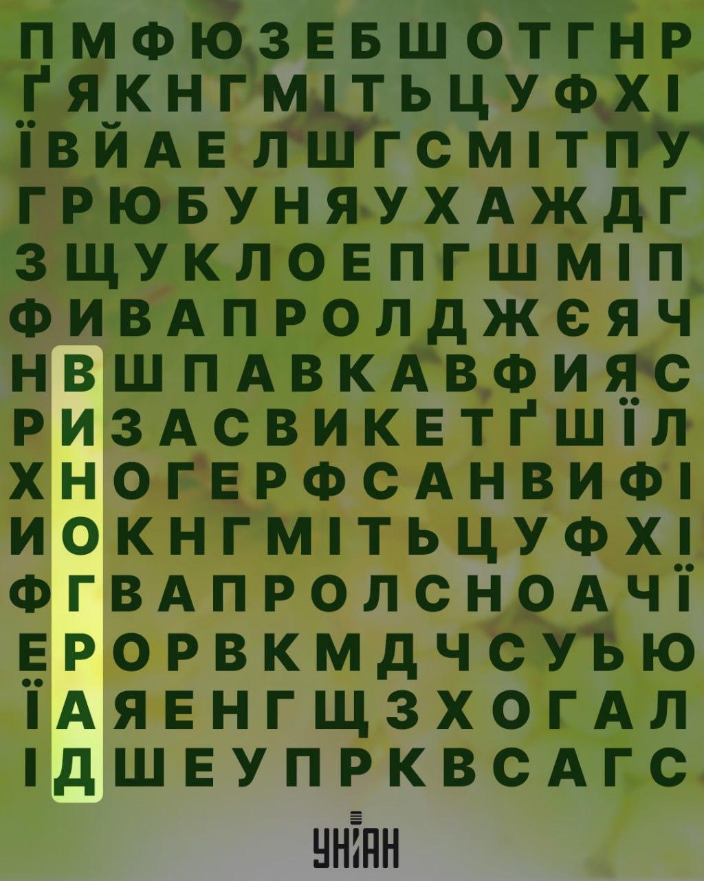 коллаж УНИАН коллаж УНИАН