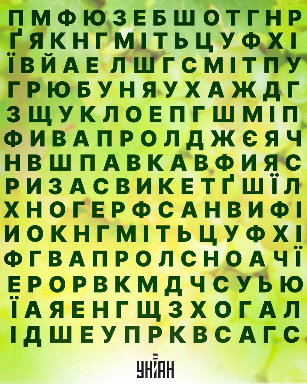 коллаж УНИАН коллаж УНИАН