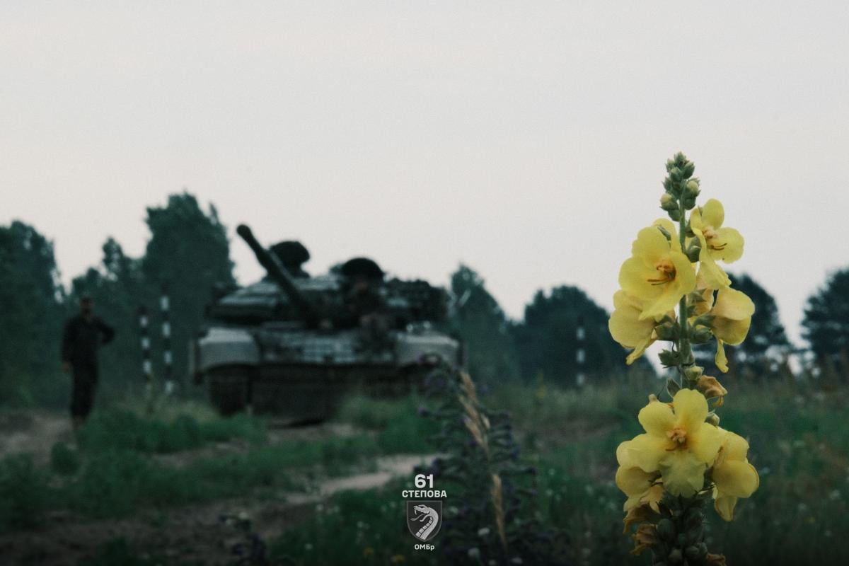 зсу, война, украинские воины / фото 61 отдельная механизированная Степная бригада зсу, война, украинские воины / фото 61 отдельная механизированная Степная бригада