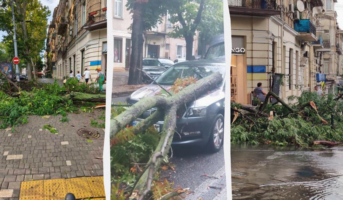 Одеса постраждала від потужної негоди / колаж УНІАН, фото Одеська мфськрада Одеса постраждала від потужної негоди / колаж УНІАН, фото Одеська мфськрада