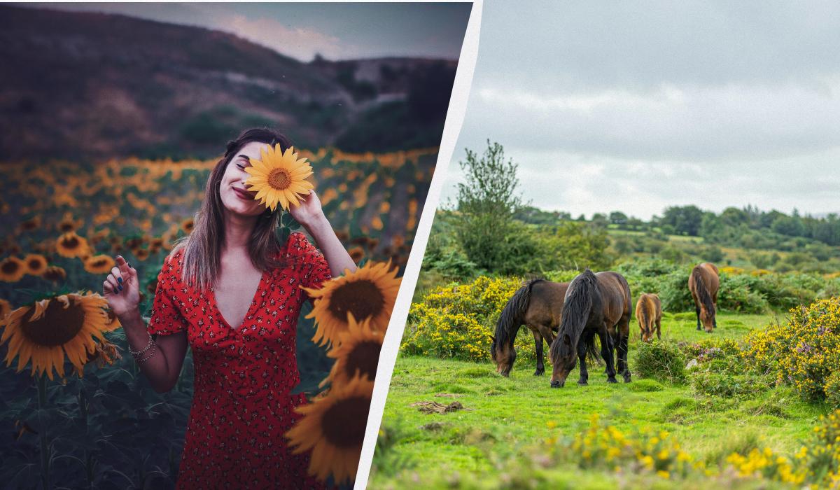 какой сегодня праздник какой сегодня праздник