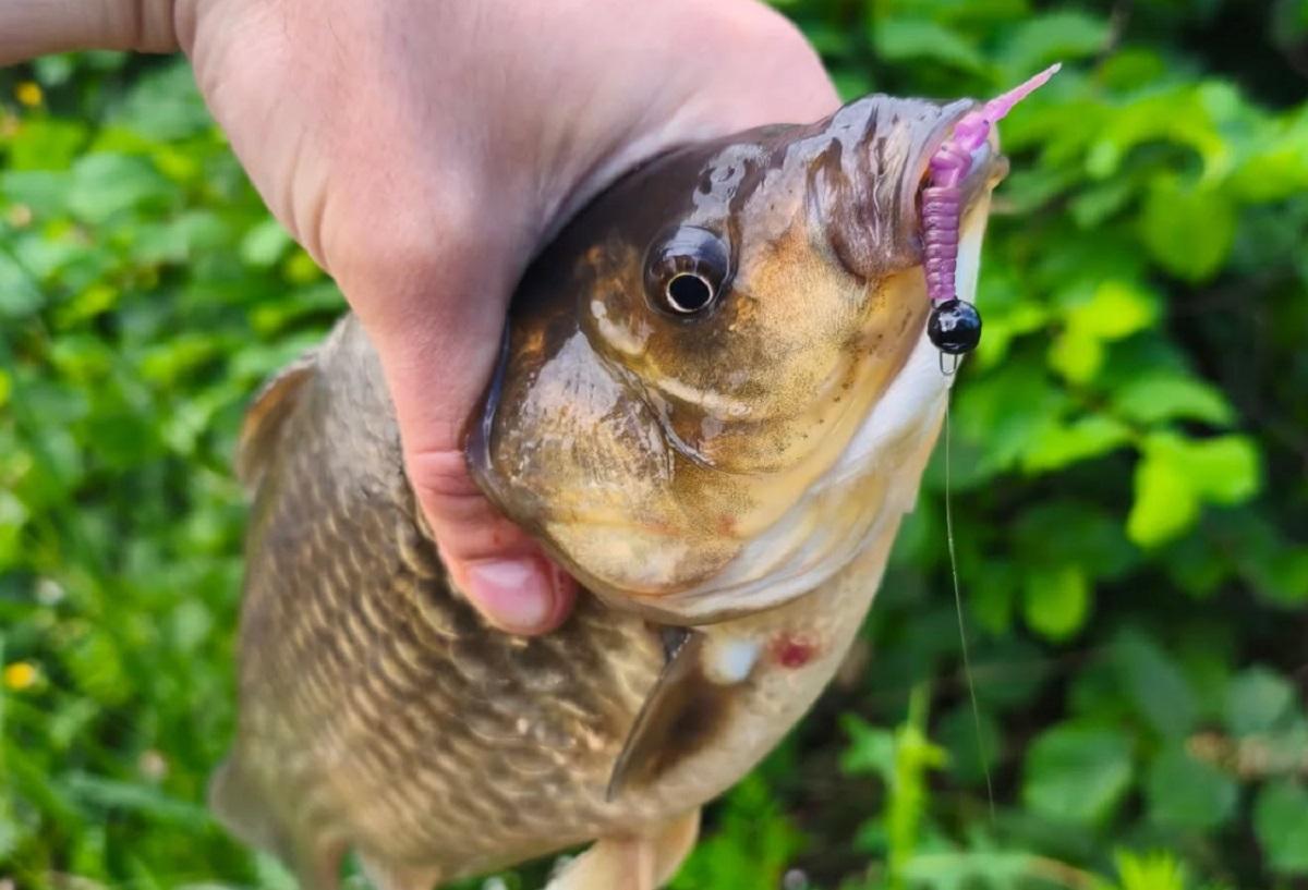 Рибалка припускає, що йому просто пощастило / фото Facebook/@evgenij.armolenko.380690 Рибалка припускає, що йому просто пощастило / фото Facebook/@evgenij.armolenko.380690