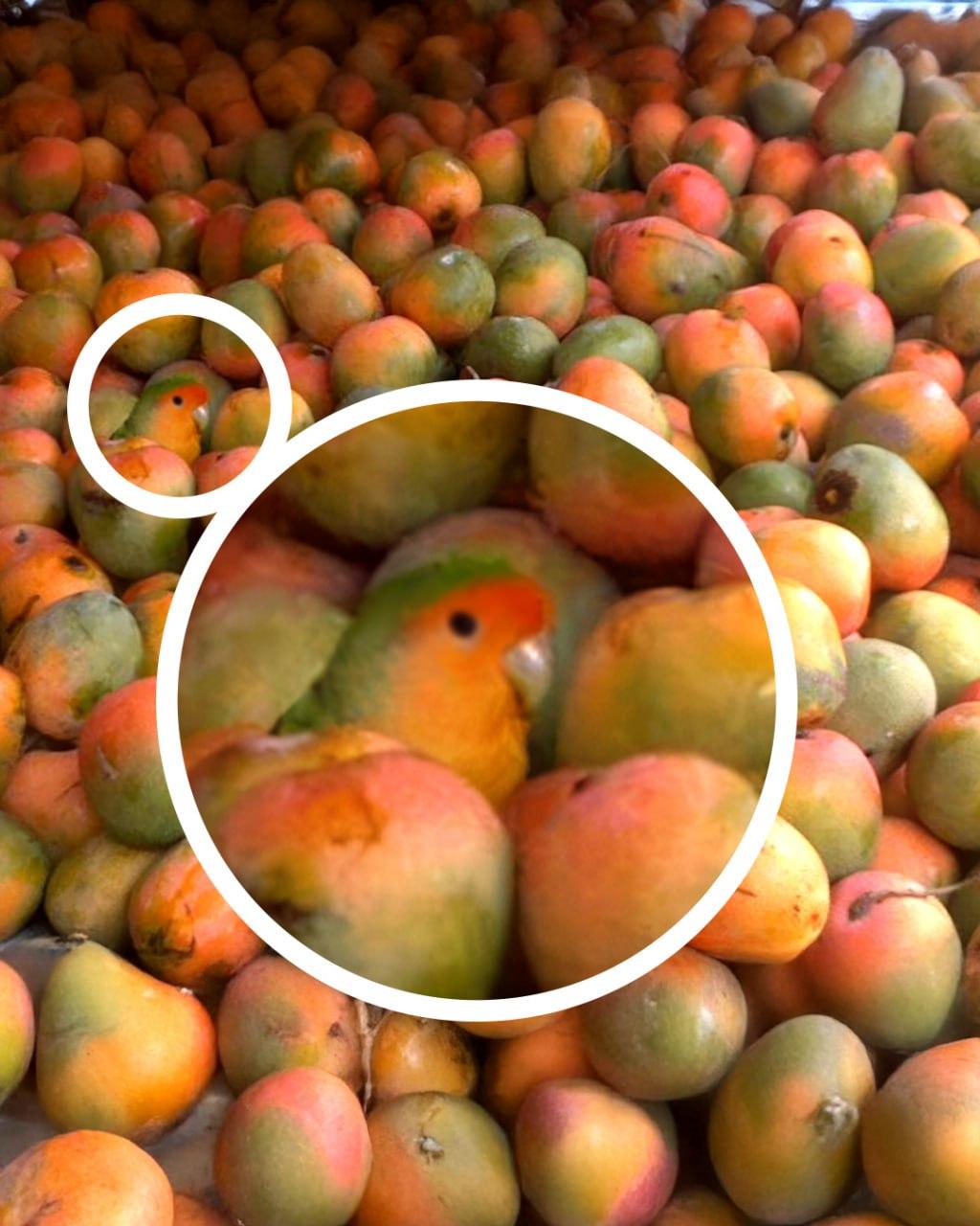 колаж УНІАН колаж УНІАН