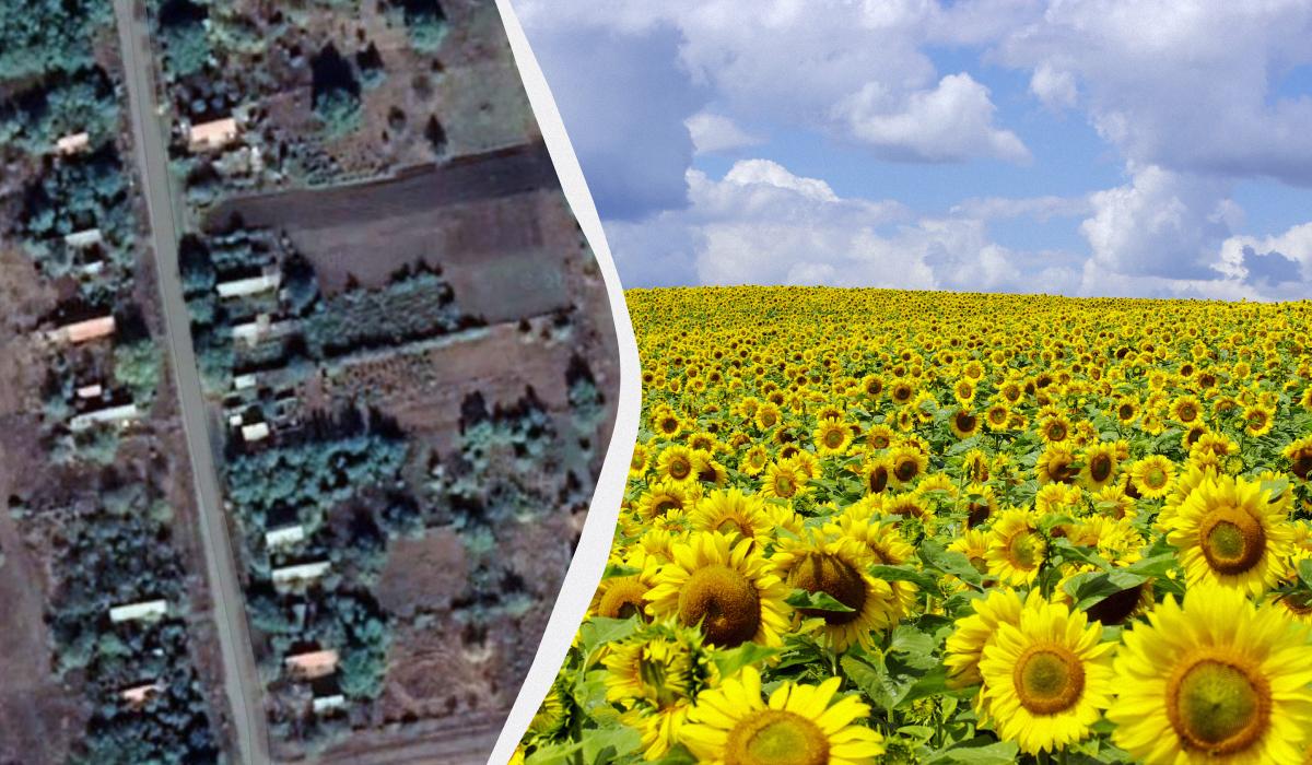 В Одесской области есть заброшенное село / коллаж УНИАН, фото ua.depositphotos.com, скриншот google maps В Одесской области есть заброшенное село / коллаж УНИАН, фото ua.depositphotos.com, скриншот google maps