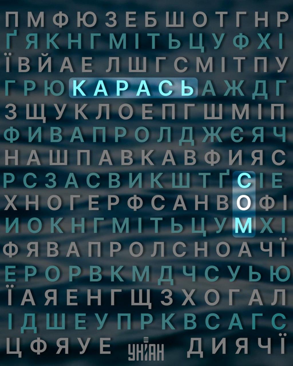колаж УНІАН колаж УНІАН