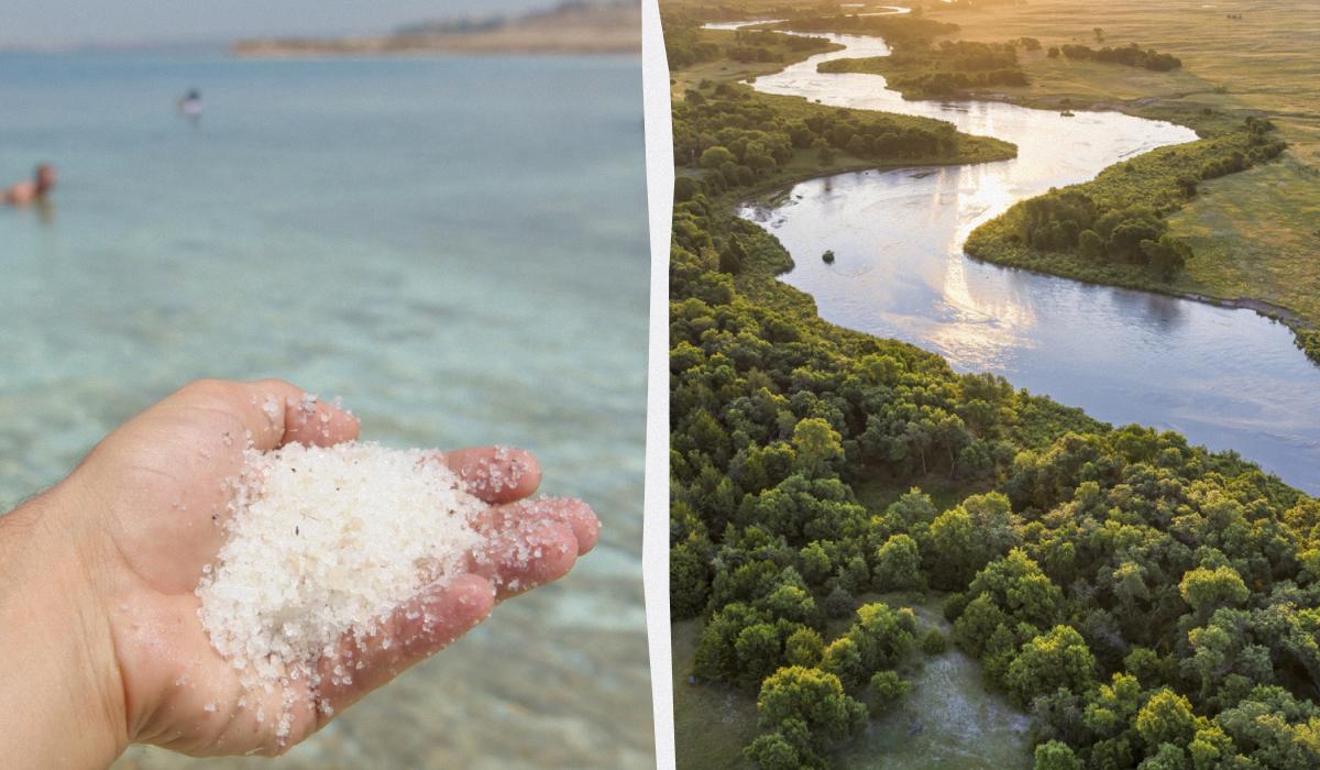Почему вода в реках не соленая? / коллаж УНИАН, фото ua.depositphotos.com Почему вода в реках не соленая? / коллаж УНИАН, фото ua.depositphotos.com