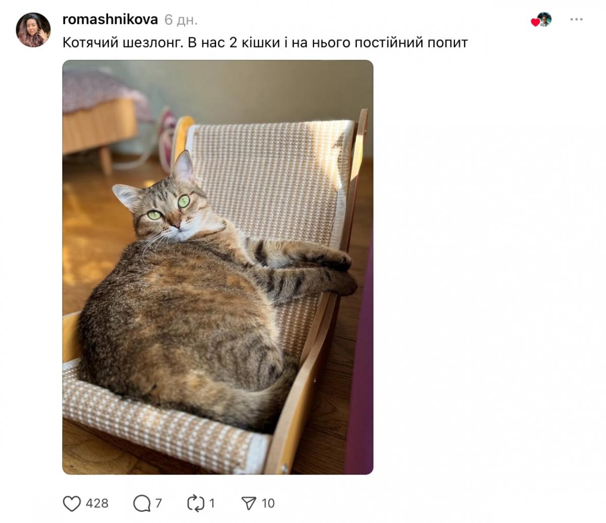 скріншот скріншот