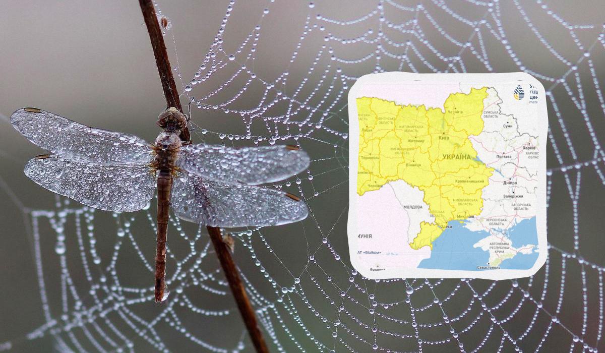 В Україні 28 липня вируватиме негода / колаж УНІАН, фото Pixabay, Укргідрометцентр В Україні 28 липня вируватиме негода / колаж УНІАН, фото Pixabay, Укргідрометцентр