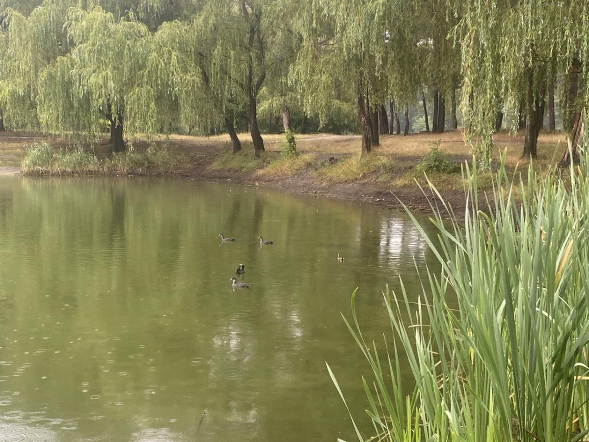 На выходных в Украине осадков будет мало / фото Надя Пришляк