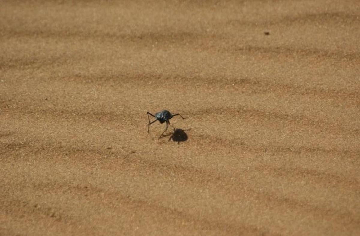 Фото Джон Хеншель Фото Джон Хеншель