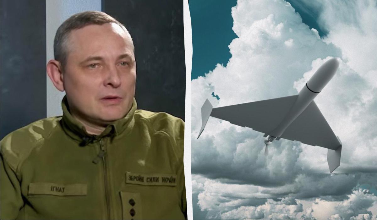 В Воздушных силах ВСУ объяснили, реально ли сбить реактивный "Шахед"