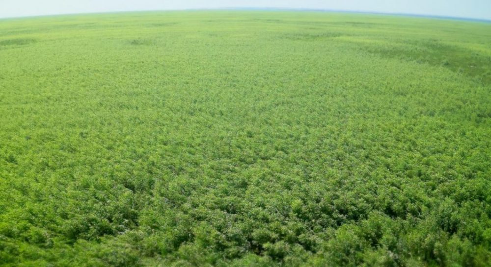 Kakhovka Dam Collapse: Kherson Region Crisis