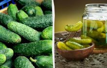 Чи вдасться українцям законсервувати огірки цього року: прогноз експерта
