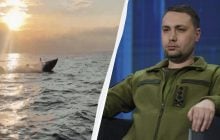 Россияне пытались разработать собственные морские дроны, но безуспешно, - Буданов
