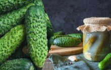 Вкусные малосольные огурцы за 3 часа: оригинальный рецепт
