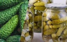 Простые огурцы на зиму с горчицей без стерилизации: быстро и вкусно