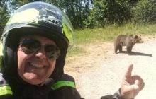 В Румынии на популярном горном маршруте медведь растерзал туриста после селфи с ним