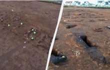 У Шотландії знайшли гігантський дерев'яний зал, побудований за 1000 років до Стоунхенджа (фото)