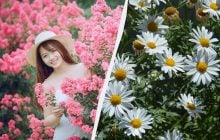 Чому сьогодні нещасливий день для жінок: вірування у свято 12 липня 2025