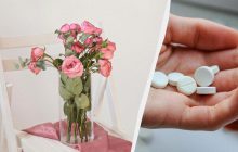 Букет троянд стоїть 2 тижні і не в'яне: потрібно додати у вазу дві таблетки з аптечки