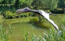 У США вчені відкрили новий вид ранніх птерозаврів, які жили 209 мільйонів років тому